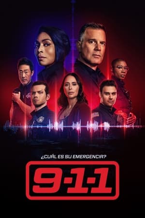 9-1-1 8x16
