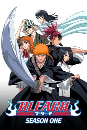 Bleach 1x366