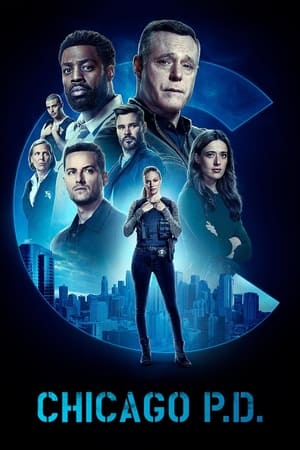 Chicago P.D. 10x22