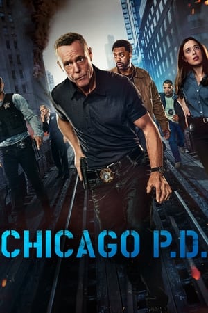 Chicago P.D. 12x16