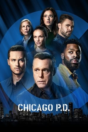 Chicago P.D. 9x22