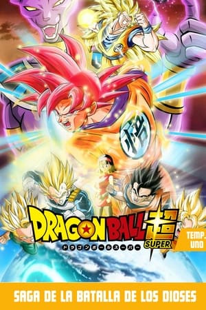 Dragon Ball Super 1x131