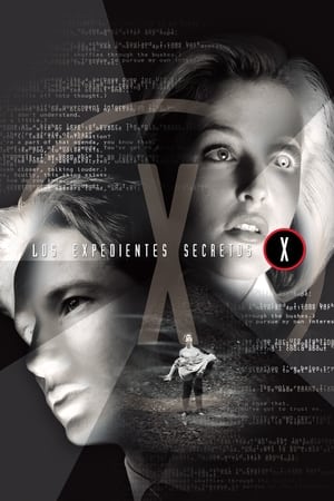 Expediente X 1x24