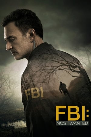 FBI: Most Wanted 1x14
