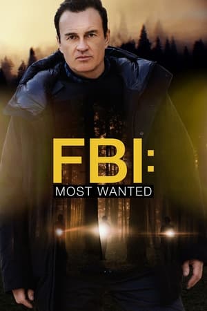 FBI: Most Wanted 3x22
