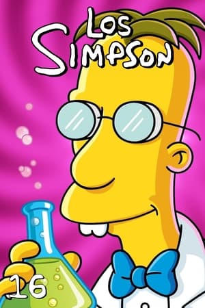 Los Simpson 16x21