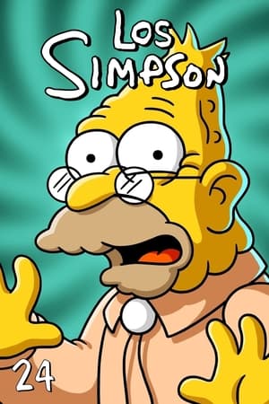 Los Simpson 24x22