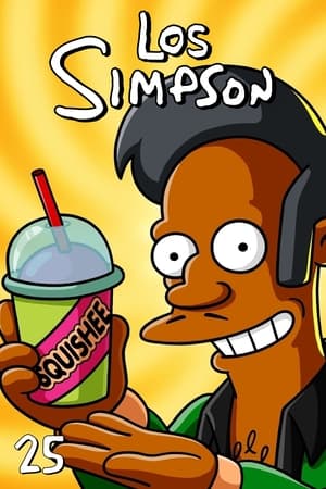 Los Simpson 25x22