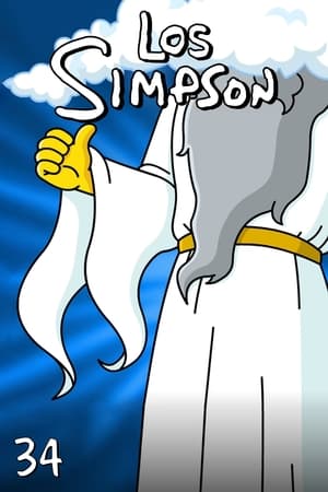 Los Simpson 34x22
