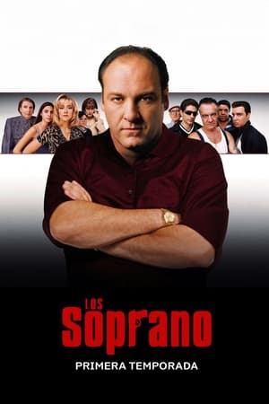 Los Soprano 1x13