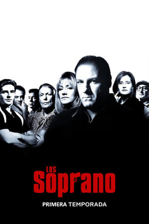 Los Soprano 2x13
