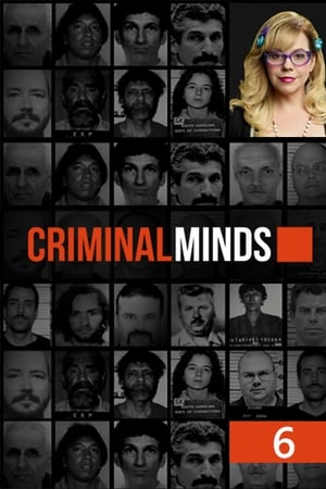 Mentes criminales 6x24