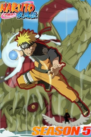 Naruto Shippuden 5x100