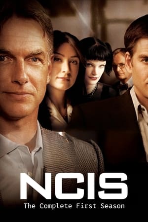 Navy: Investigación criminal 1x23