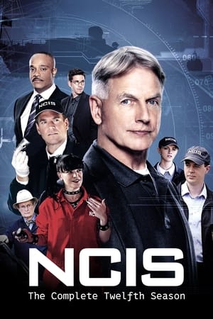 Navy: Investigación criminal 12x24