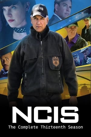 Navy: Investigación criminal 13x24