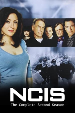 Navy: Investigación criminal 2x23
