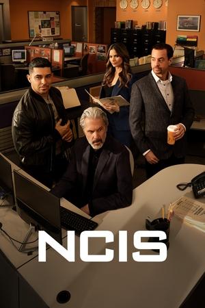 Navy: Investigación criminal 22x13