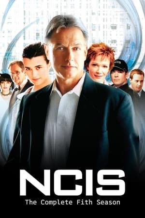 Navy: Investigación criminal 5x18