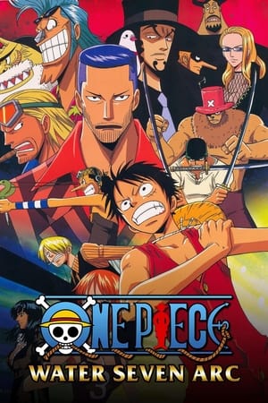 One Piece 8x263