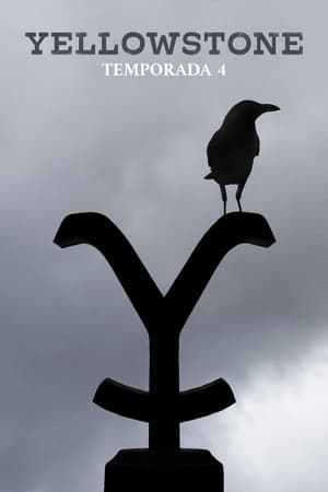 Yellowstone 4x10